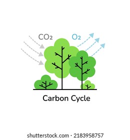 Photosynthesis carbon cycle. Tree absorbs co2 gas and produces oxygen molecules. CO2 neutral, greenhouse gas emission reduction, zero carbon footprint concept line art vector illustration.