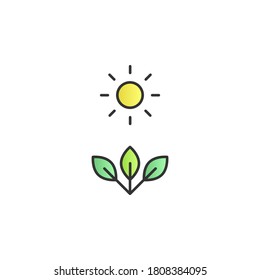 Photosynthesis color gradient vector icon