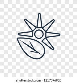 Photosynthesis concept vector linear icon isolated on transparent background, Photosynthesis concept transparency concept in outline style