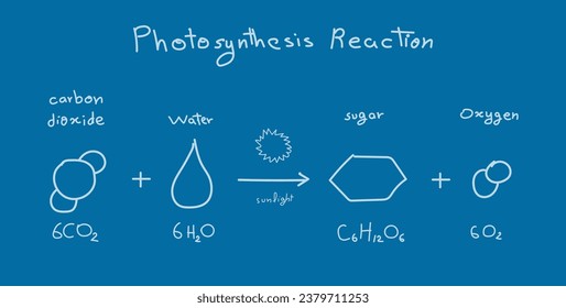 Photosynthesis equation. Carbon dioxide, water, sugars and oxygen. Chemical reaction with reactants and products. Chemical resources for teachers and students. Scientific doodle handwriting concept.