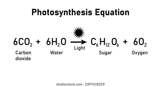 Fotosynthese-Gleichung. Kohlendioxid, Wasser, Zucker und Sauerstoff. Chemische Reaktion mit Reaktanten und Produkten. Chemische Ressourcen für Lehrer und Studenten.