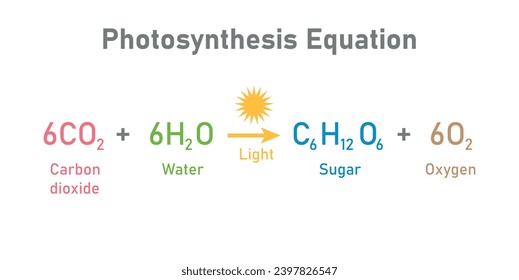 Photosynthesis equation. Carbon dioxide, water, sugars and oxygen. Chemical reaction with reactants and products. Chemical resources for teachers and students.