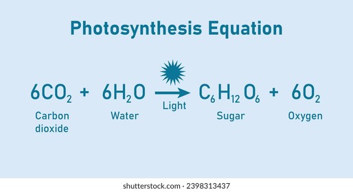 Photosynthesis equation. Carbon dioxide, water, sugars and oxygen. Chemical reaction with reactants and products. Chemical resources for teachers and students.
