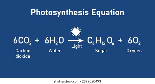 Photosynthesis equation. Carbon dioxide, water, sugars and oxygen. Chemical reaction with reactants and products. Chemical resources for teachers and students.