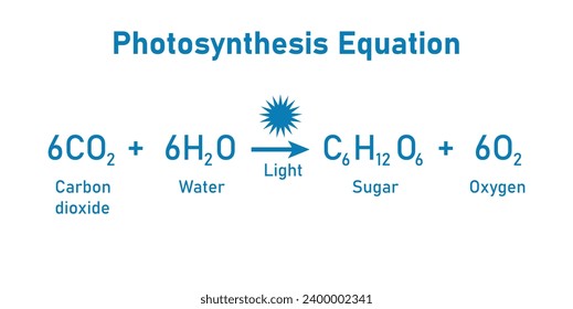 Photosynthesis equation. Carbon dioxide, water, sugars and oxygen. Chemical reaction with reactants and products. Chemical resources for teachers and students.