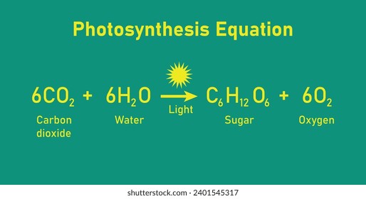 Photosynthesis equation. Carbon dioxide, water, sugars and oxygen. Chemical reaction with reactants and products. Chemical resources for teachers and students.