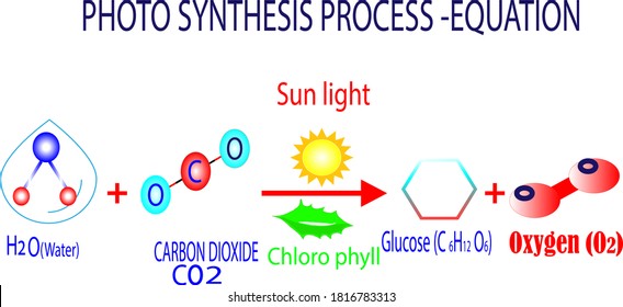 equation for photosynthesis