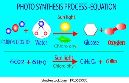 photosynthesis equation -co2 -02 -chlorophyll - sunlight - water -plants vector