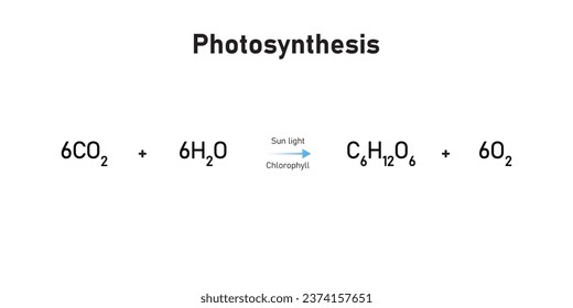 Photosynthesis Equation Scientific Design. Vector Illustration.