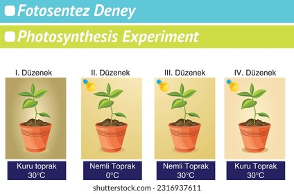 Photosynthesis Experiment, Setup, Dry Soil, Wet Soil, Biyoloji, Biyoloji  Dersi, Fotosentez, Toprak, Bitki, Biology, Biology Lesson, Photosynthesis, Soil, Plant