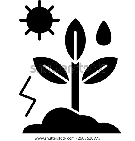 Photosynthesis Glyph Solid icon, Plant grow