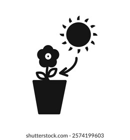Photosynthesis icon Simple thin line flat symbol