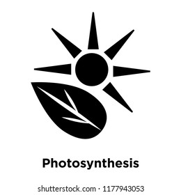 Photosynthesis icon vector isolated on white background, logo concept of Photosynthesis sign on transparent background, filled black symbol