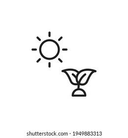icono de fotosíntesis en vector. Logotipo
