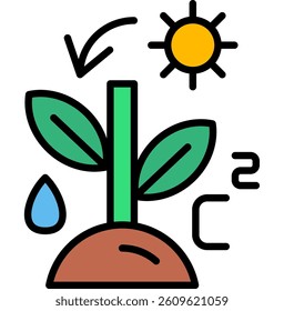 Photosynthesis Illustration icon, Plant grow