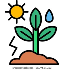 Photosynthesis Illustration icon, Plant grow