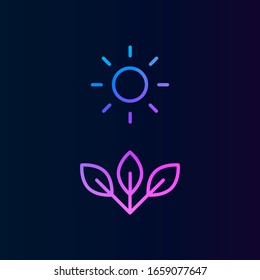 Icono de nolan de fotosíntesis. Línea delgada simple, contorno vectorial de iconos de biología para ui y ux, sitio web o aplicación móvil