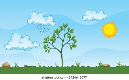 Photosynthesis process. Tree produce oxygen using rain and sun. Process of photosynthesis in plant. Colorful image for education in flat style