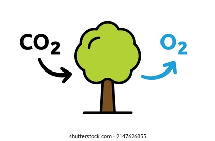 Photosynthesis process vector illustration. Conversion of carbon dioxide to oxygen.