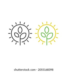 Photosynthesis, sun and plant. Vector icon template