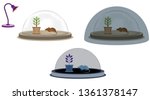 Photosynthesis test in bright environment and dark environment with closed glass fan. The relationship between photosynthesis and oxygen respiration. Light is required for photosynthesis. Photosynthes