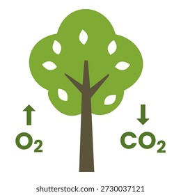 Proceso de fotosíntesis: producción de oxígeno y absorción de carbono