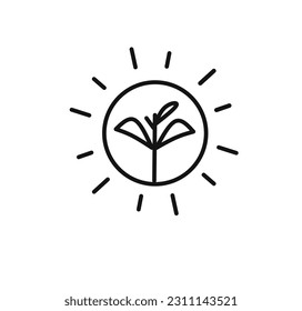 Photosynthesis vector icon in linear, outline icon isolated on white background