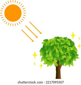 Photosynthesizing tree isolated vector illustration.