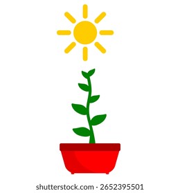 Ilustração vetorial de biologia fototropista. Explicação educacional da biologia ou do comportamento das plantas. Planta cresce na direção do sol com o hormônio auxina planta clip art vetor ilustração
