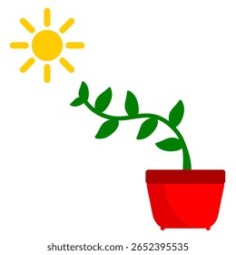 Ilustração vetorial de biologia fototropista. Explicação educacional da biologia ou do comportamento das plantas. Planta cresce na direção do sol com ilustração do vetor da arte do clipe do hormônio auxin