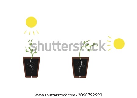 Similar – Image, Stock Photo towards the sun Sun sunny