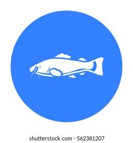 Phractocephalus hemioliopterus fish icon black. Singe aquarium fish icon from the sea,ocean life black.