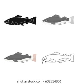 Phractocephalus hemioliopterus fish icon cartoon. Singe aquarium fish icon from the sea,ocean life cartoon.