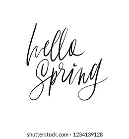 Phrase Hello spring. Brush lettering isolated on background. Handwritten vector Illustration. Happy Easter. 