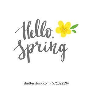 Phrase "Hello spring!" Brush Pen lettering isolated on background. Handwritten vector Illustration.