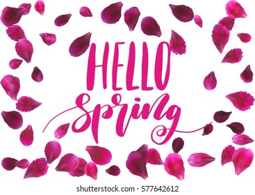 Phrase Hello spring. Brush pen lettering, flying petals isolated on white background. Vector Illustration.