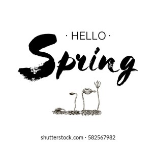 Phrase Hello spring Brush Pen lettering isolated on background. Handwritten vector Illustration. Handwritten modern brush lettering. Hand drawing elements design tree pine seedlings