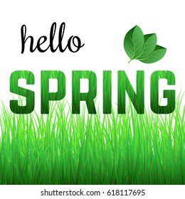 Phrase Hello Spring from grass and with green leaves.
