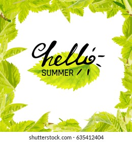 Phrase Hello Summer Vector Illustration. Happy Season Background for Design