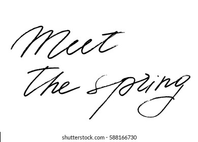 Phrase inspirational spring handwriting calligraphy meet the spring handwritten black text on white background, vector. Each word is on the separate layer 