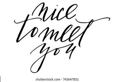 Phrase nice to meet you handwritten text vector