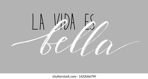 Phrase in Spanish Life is beautiful. Hnadwritten text vector script. Each word is on the different layers