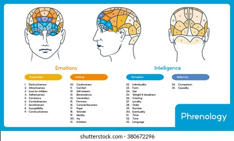 Phrenology. Head Brain Map. Inphographic With Transcript Of Zones.