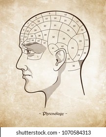 Phrenology Retro Pseudoscience Poster Or Print Design Over Grunge Paper Background Hand Drawn Vector Illustration