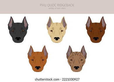 Phu Quoc Ridgeback clipart. All coat colors set.  All dog breeds characteristics infographic. Vector illustration
