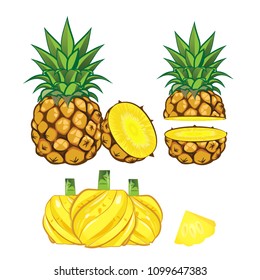 phulae pineapple of thailand vecter illustration. small, mini 