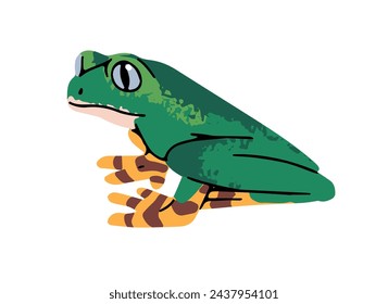 Phyllomedusa tree frog with bright colourful legs. Little green froggy with cute muzzle. Rainforest froglet. Tropical swamp amphibian, exotic jungle reptile. Flat isolated vector illustration on white