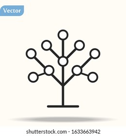 Phylogenetic, tree icon. Element of bio engineering illustration. Thin line icon for website design and development, app development. Premium icon