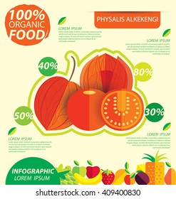 Physalis alkekengi. Infographic template. vector illustration.
