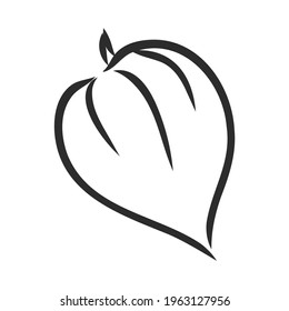 Physalis autotraced vector sketch, greyscale. physalis, vector sketch on a white background